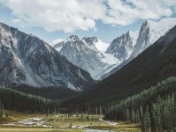 黑料网三步快走：看引用截断了吗做把证据按强弱排收尾读完更顺